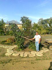 Василий Скоторенко